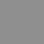 RAL_9007_RichAluminium